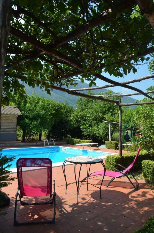 Desiderio D'Ammore Villa Corbara  Екстериор снимка