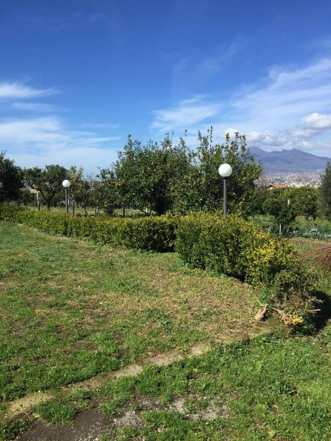 Desiderio D'Ammore Villa Corbara  Екстериор снимка