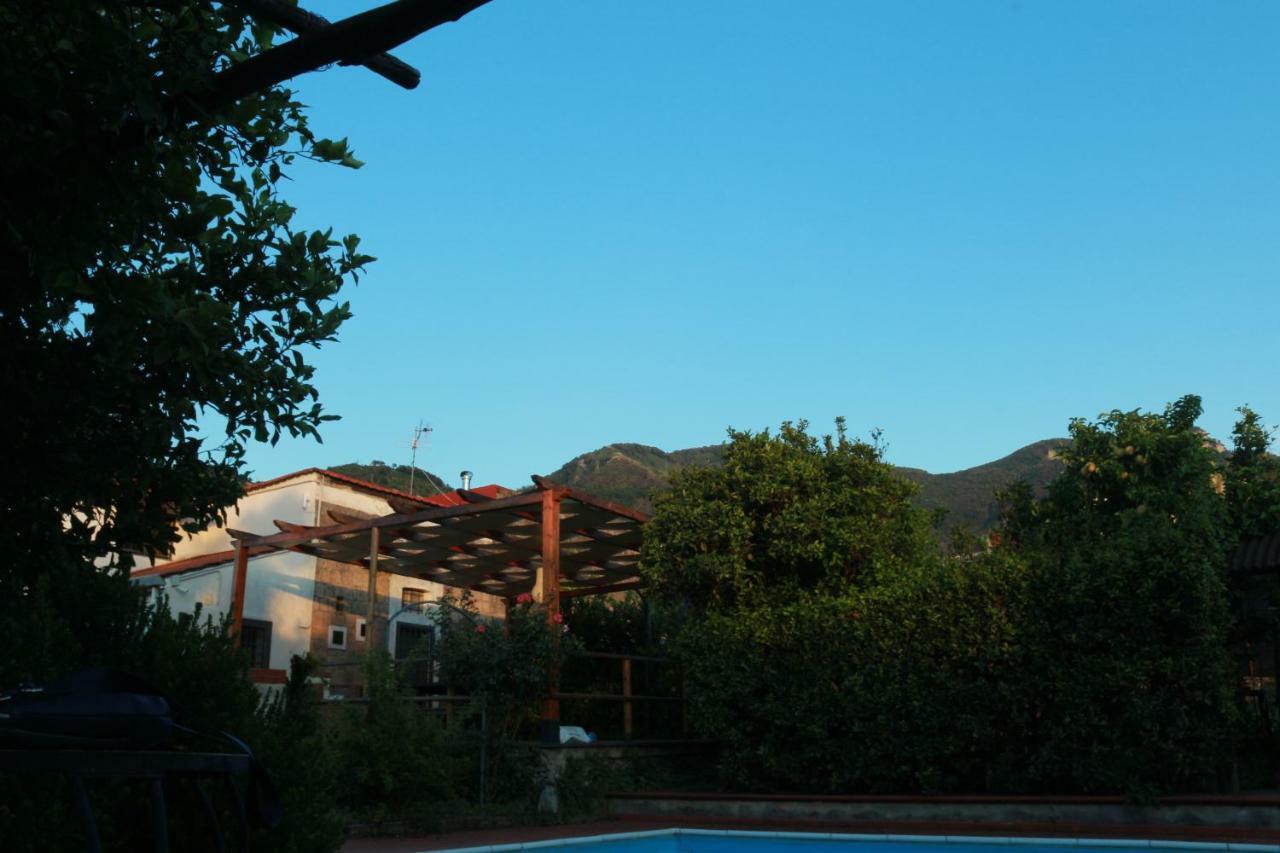 Desiderio D'Ammore Villa Corbara  Екстериор снимка